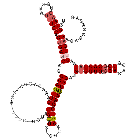 secondary structure