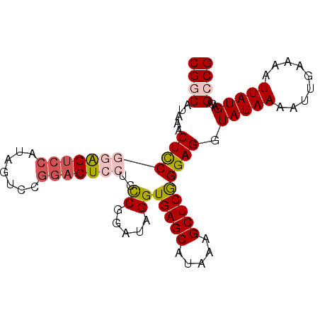 secondary structure