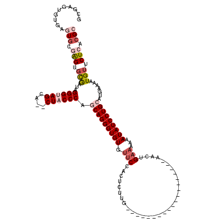 secondary structure