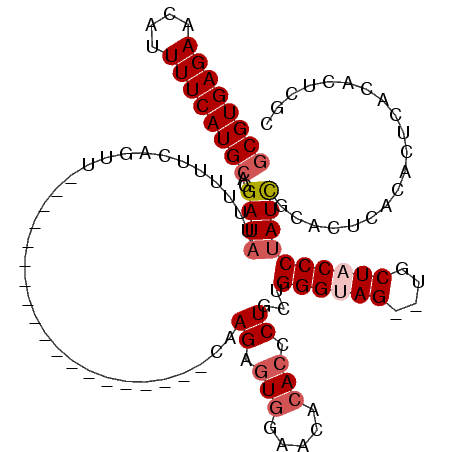 secondary structure