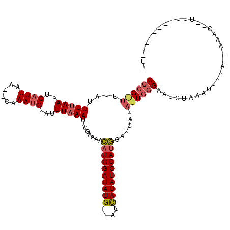 secondary structure