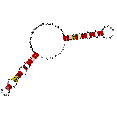 secondary structure