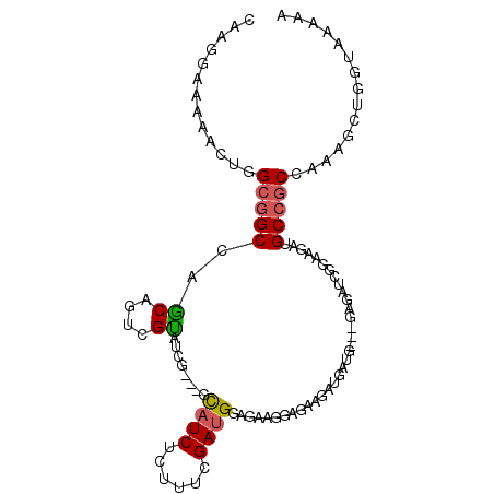 secondary structure