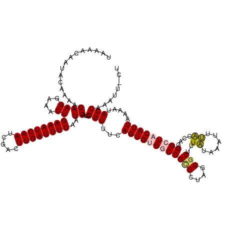secondary structure