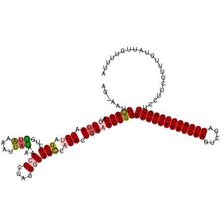 secondary structure
