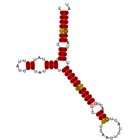 secondary structure