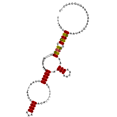 secondary structure