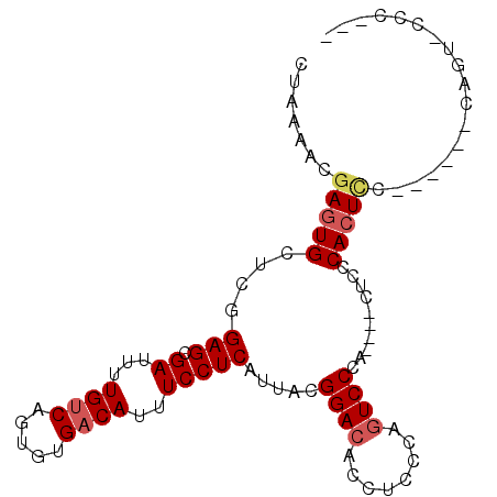 secondary structure