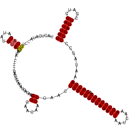secondary structure