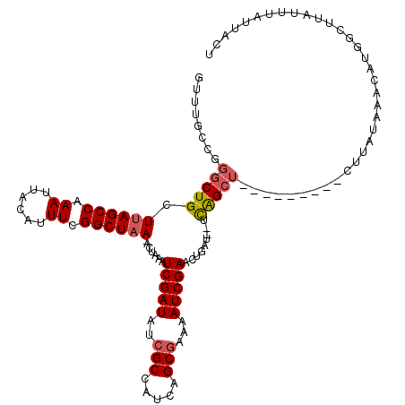 secondary structure