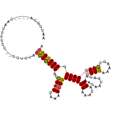 secondary structure