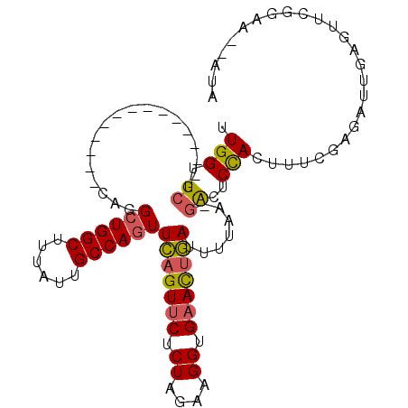 secondary structure