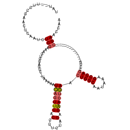 secondary structure