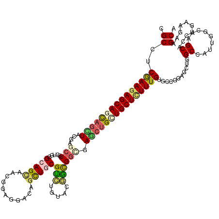 secondary structure