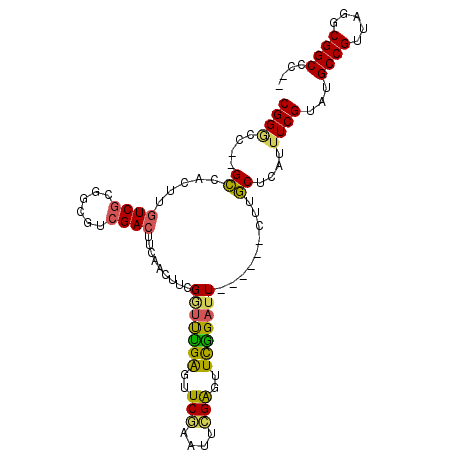 secondary structure