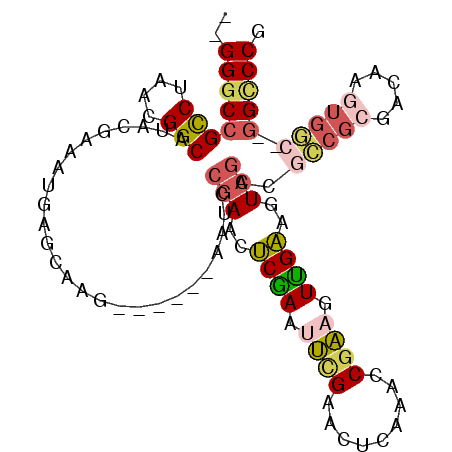 secondary structure