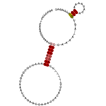 secondary structure