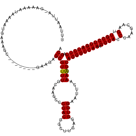 secondary structure