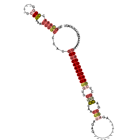 secondary structure