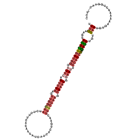 secondary structure