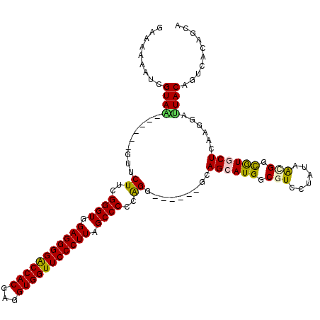 secondary structure