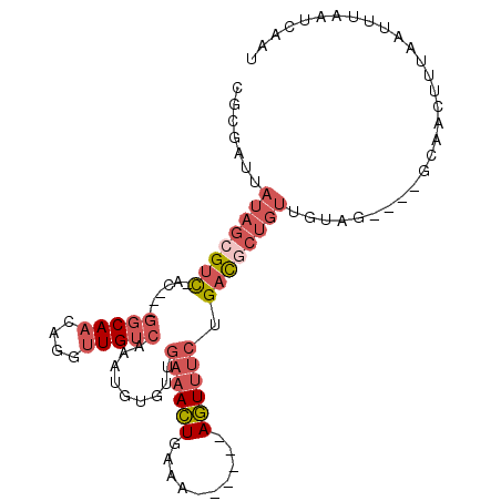 secondary structure