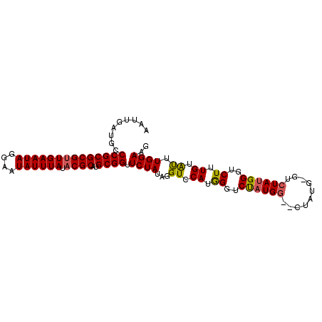 secondary structure