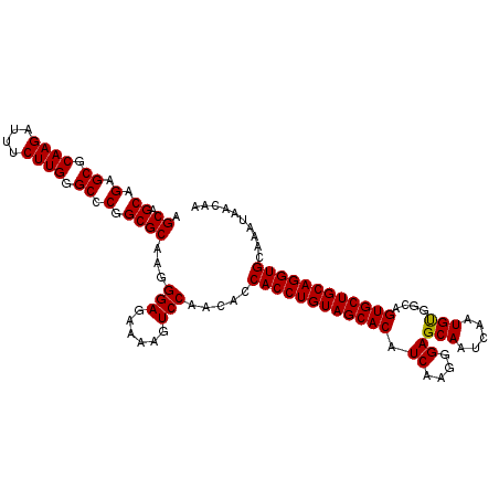 secondary structure