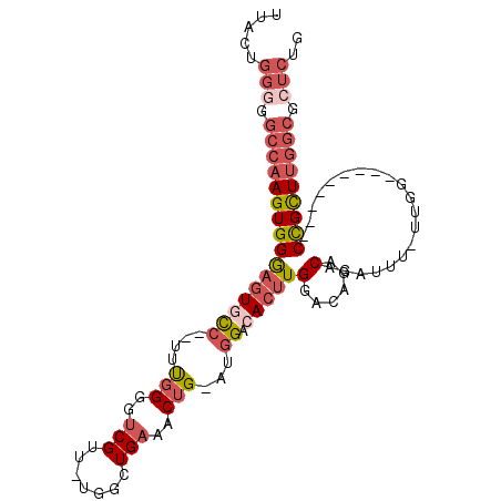 secondary structure