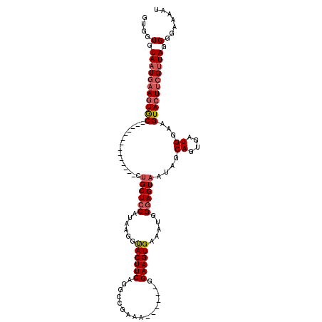 secondary structure