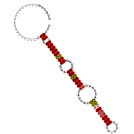 secondary structure