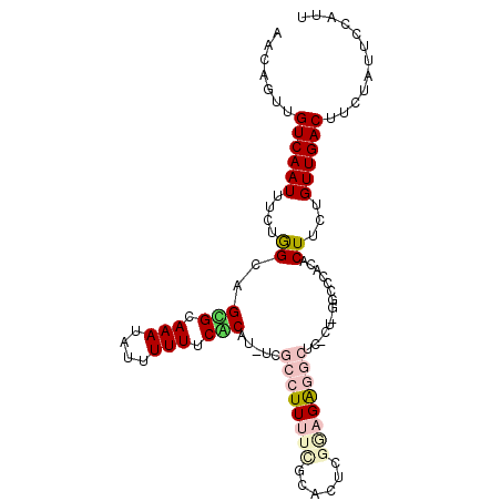 secondary structure