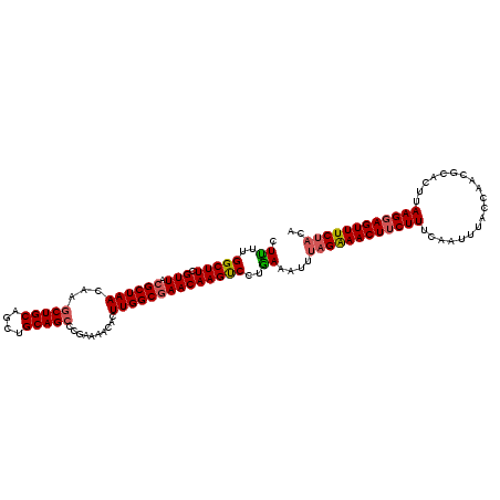 secondary structure