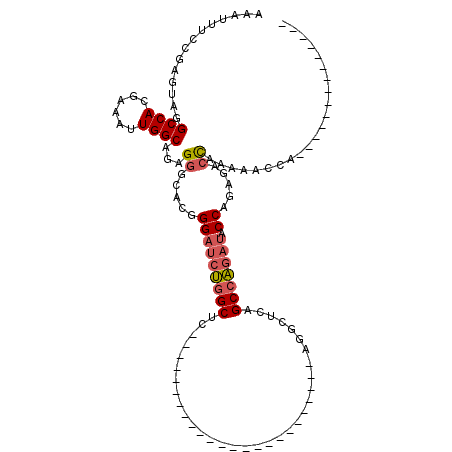 secondary structure