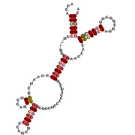 secondary structure