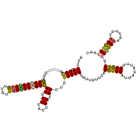 secondary structure