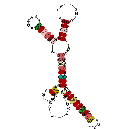 secondary structure