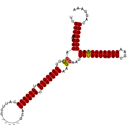 secondary structure