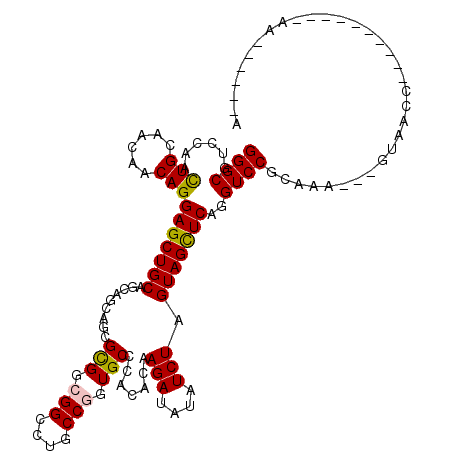 secondary structure