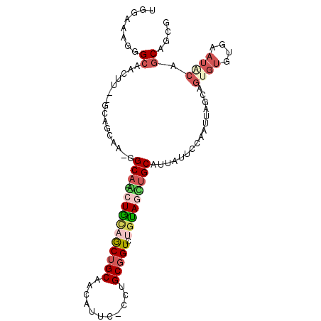secondary structure