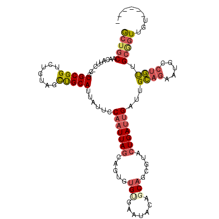 secondary structure