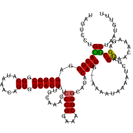 secondary structure