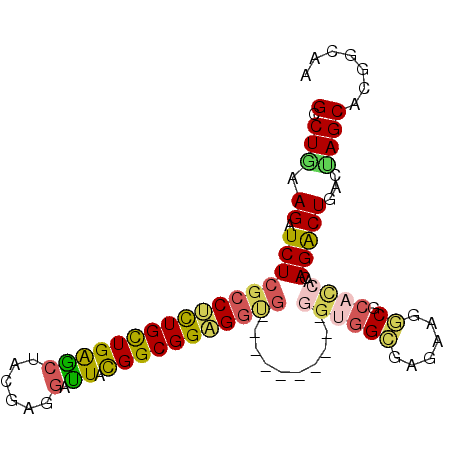 secondary structure