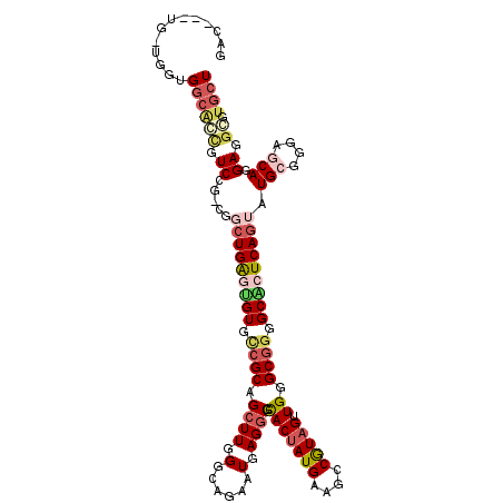 secondary structure