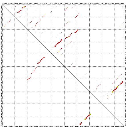 dotplot