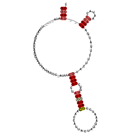 secondary structure