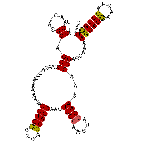 secondary structure