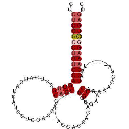 secondary structure