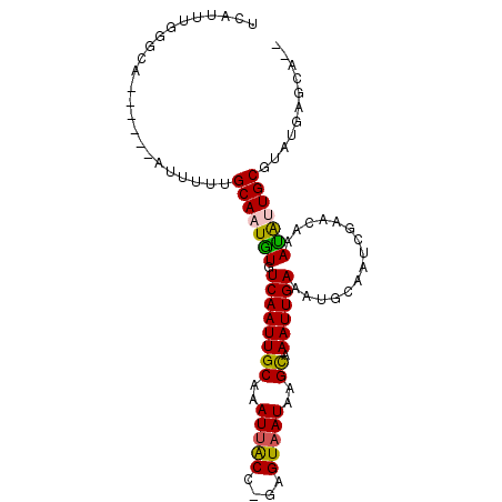 secondary structure