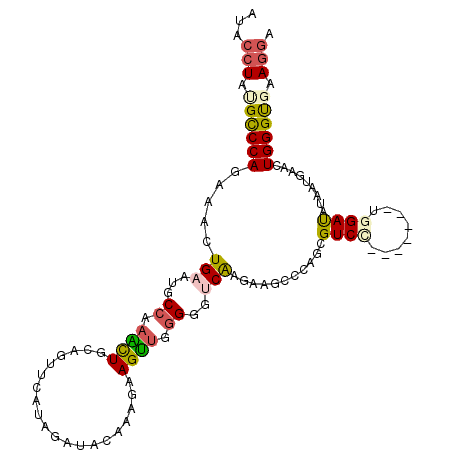 secondary structure